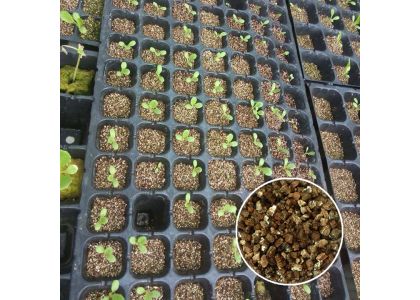Vermiculite for Starting Seeds